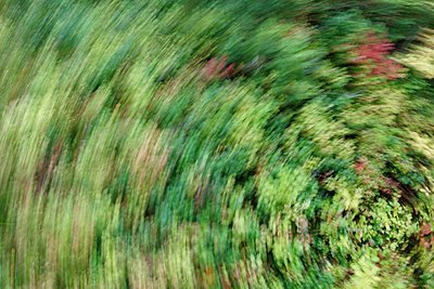 BUITEN BEELD Foto: 153890