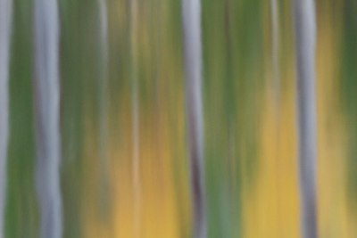 BUITEN BEELD Foto: 153898