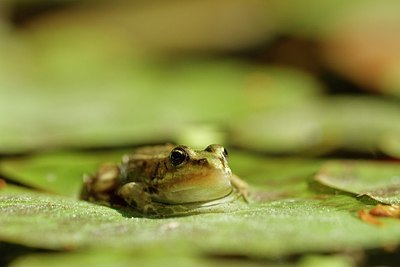 BUITEN BEELD Foto: 153906