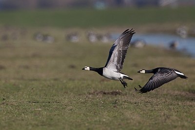 BUITEN BEELD Foto: 153908