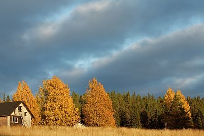 BUITEN BEELD Foto: 153945