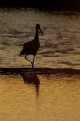 BUITEN BEELD Foto: 153957