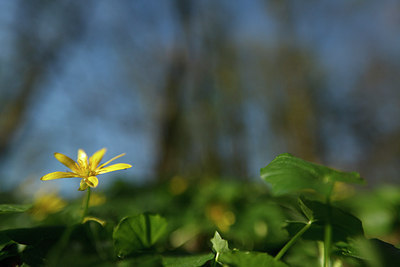 BUITEN BEELD Foto: 153979