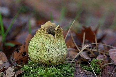 BUITEN BEELD Foto: 153986