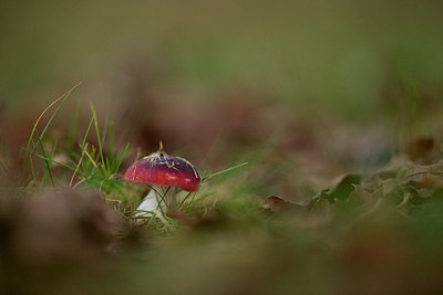 BUITEN BEELD Foto: 154009