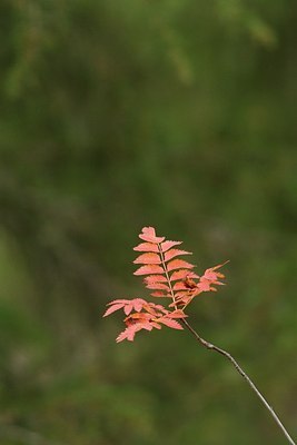 BUITEN BEELD Foto: 154016