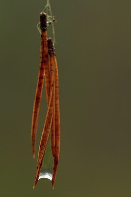 BUITEN BEELD Foto: 154028