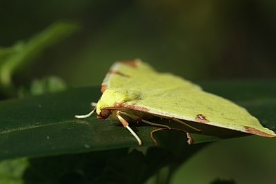 BUITEN BEELD Foto: 154039