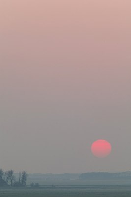 BUITEN BEELD Foto: 154060