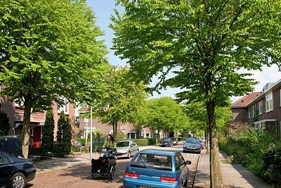 BUITEN BEELD Foto: 154062