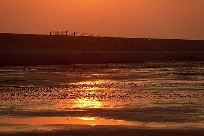 BUITEN BEELD Foto: 154073