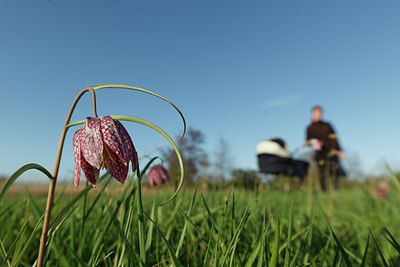 BUITEN BEELD Foto: 154098