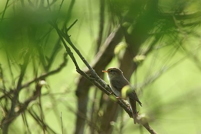 BUITEN BEELD Foto: 154132