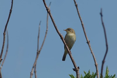 BUITEN BEELD Foto: 154143