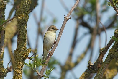 BUITEN BEELD Foto: 154145