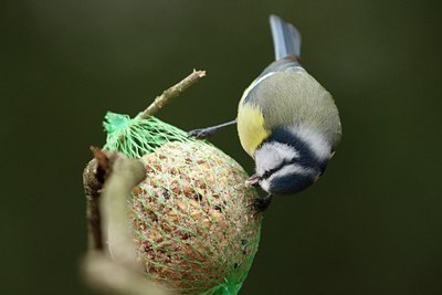 BUITEN BEELD Foto: 154166