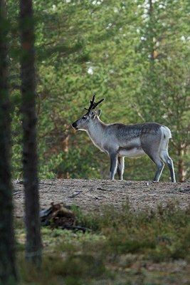 BUITEN BEELD Foto: 154197