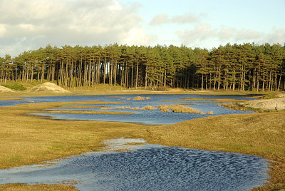 BUITEN BEELD Foto: 154285