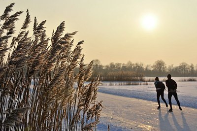 BUITEN BEELD Foto: 154314