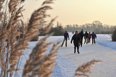 BUITEN BEELD Foto: 154315