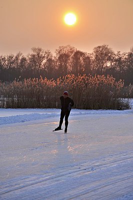 BUITEN BEELD Foto: 154320