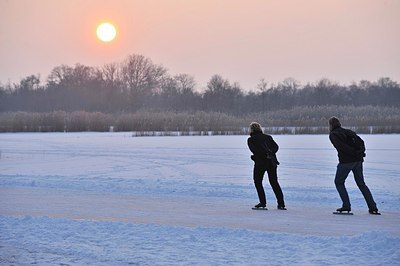 BUITEN BEELD Foto: 154321