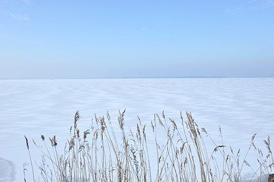 BUITEN BEELD Foto: 154333
