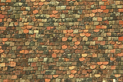 BUITEN BEELD Foto: 154358