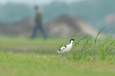 BUITEN BEELD Foto: 154503