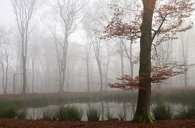 BUITEN BEELD Foto: 154539