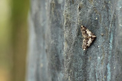 BUITEN BEELD Foto: 154557