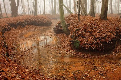 BUITEN BEELD Foto: 154560