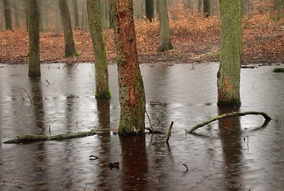 BUITEN BEELD Foto: 154564