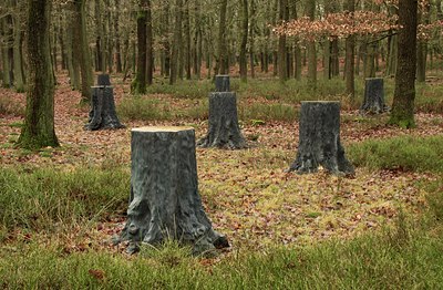 BUITEN BEELD Foto: 154571