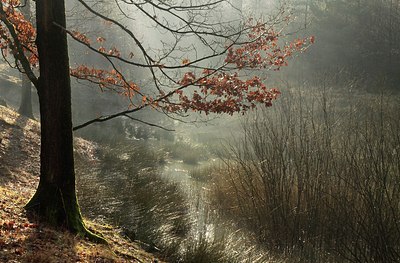 BUITEN BEELD Foto: 154574