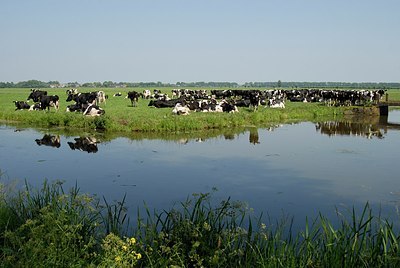 BUITEN BEELD Foto: 154600