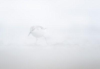 BUITEN BEELD Foto: 154606