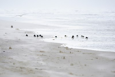 BUITEN BEELD Foto: 154610