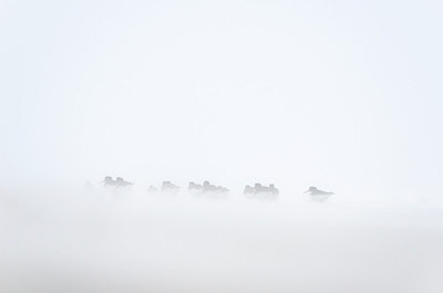 BUITEN BEELD Foto: 154611