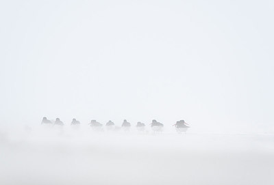 BUITEN BEELD Foto: 154612