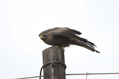 BUITEN BEELD Foto: 154663