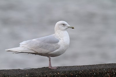 BUITEN BEELD Foto: 154729