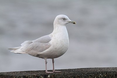 BUITEN BEELD Foto: 154730