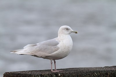 BUITEN BEELD Foto: 154731