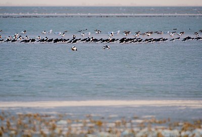 BUITEN BEELD Foto: 154752