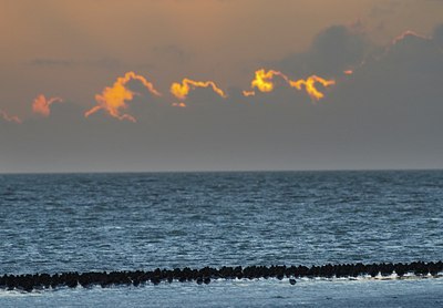 BUITEN BEELD Foto: 154754