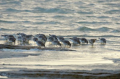 BUITEN BEELD Foto: 154755