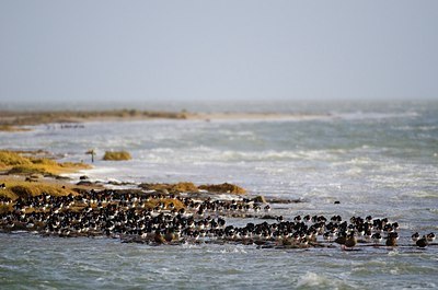BUITEN BEELD Foto: 154765