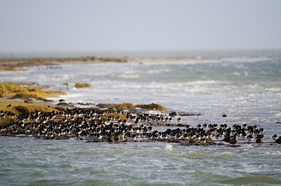 BUITEN BEELD Foto: 154766