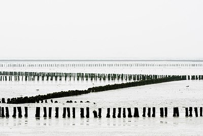BUITEN BEELD Foto: 154768